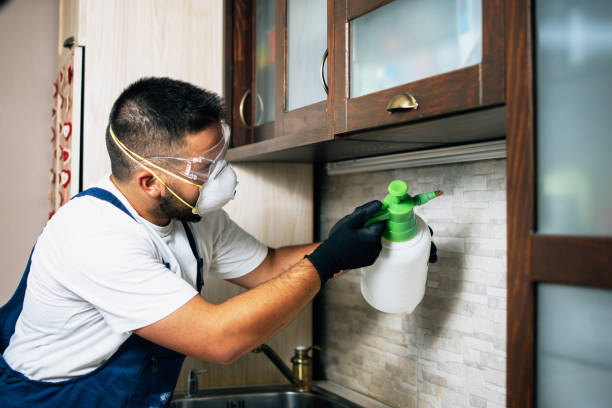 Best Affordable Pest Control Services  in Notre Dame, IN