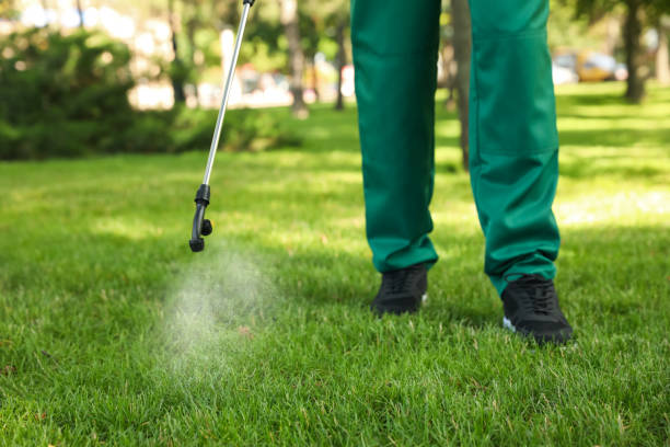 Best Termite Control Services  in Notre Dame, IN