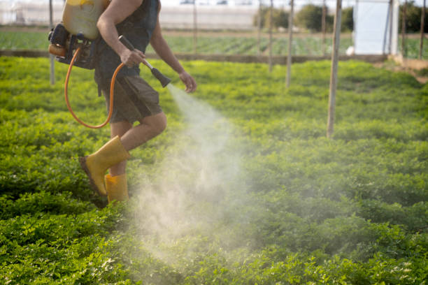 Best Ant Control Services  in Notre Dame, IN