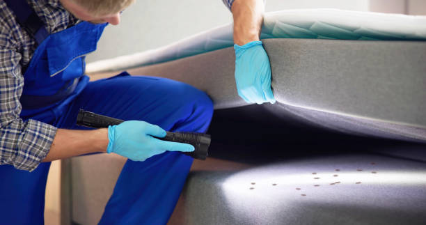 Best Mosquito Control Services  in Notre Dame, IN