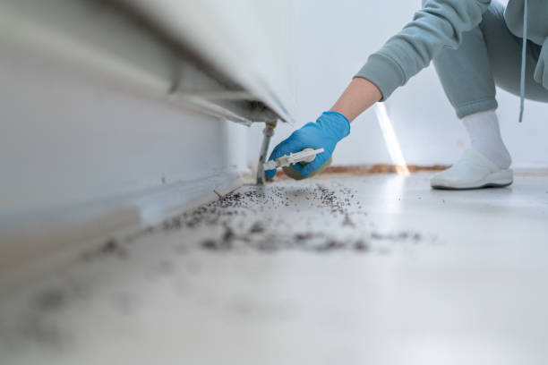 Best Wasp Removal Services  in Notre Dame, IN
