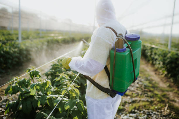 Best Emergency Pest Control  in Notre Dame, IN
